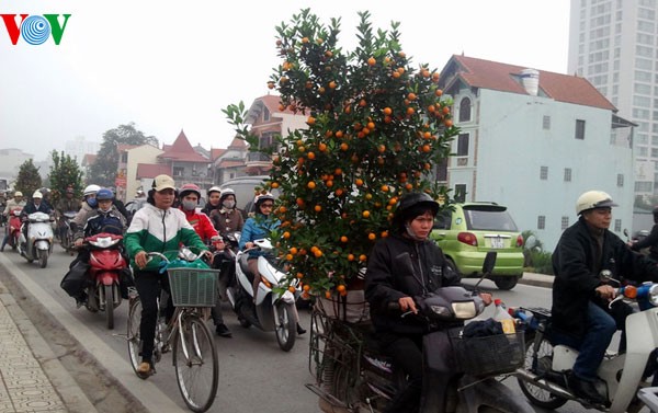 Hanoi un jour avant le Tet du Dragon  - ảnh 4